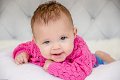 Harris, Hkena _Rm B-8031